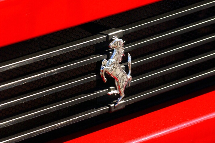 Ferrari Fanatic