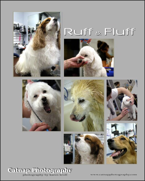 Ruff & Fluff Promo Sheet