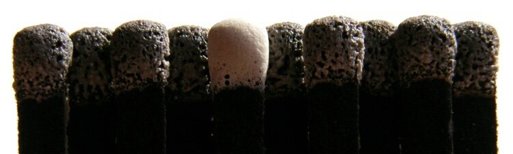 Matches (cropped)