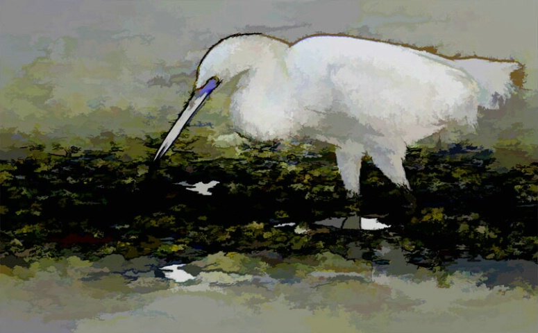 BuZZed Egret