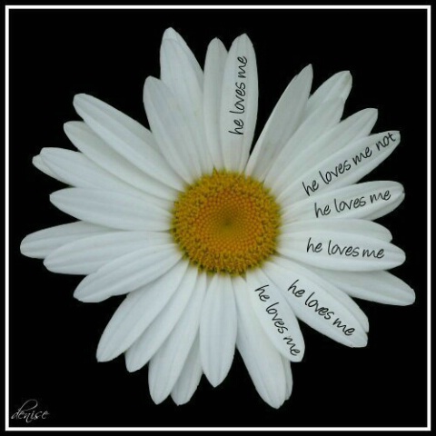 Doubtless Daisy