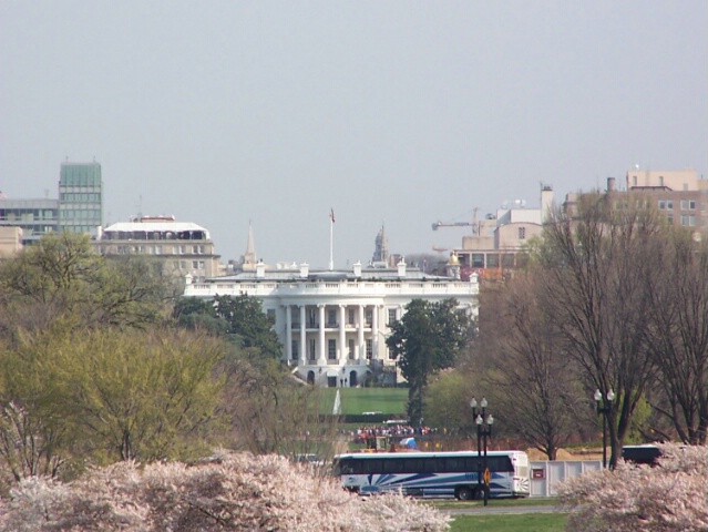 White House