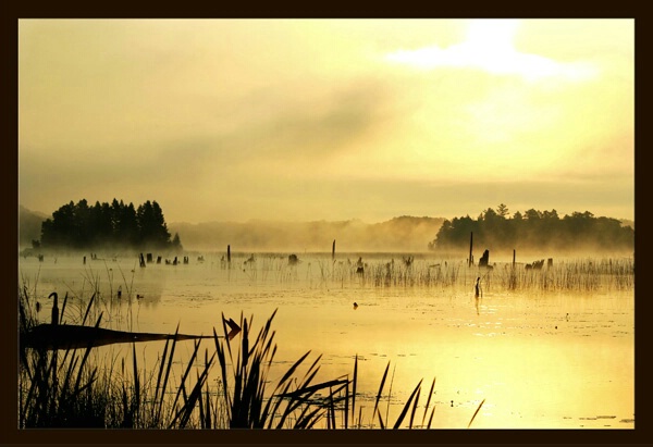 Avery Lake Sunrise