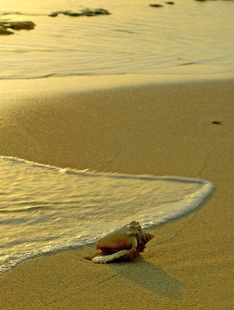 On the Beach