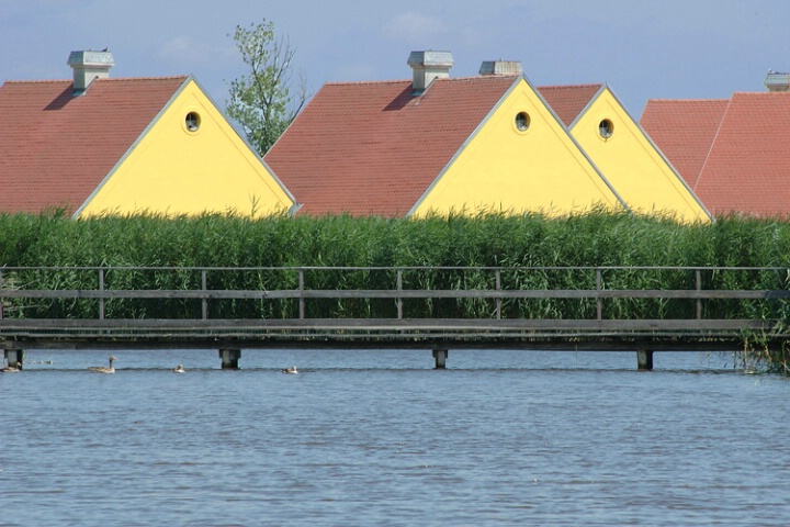 Yellow Houses