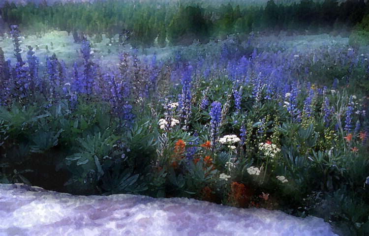 Watercolored Wildflowers