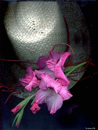 Hat and Glads