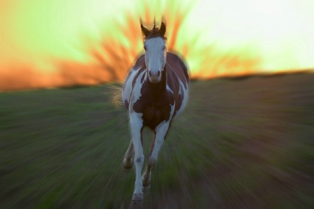 Running Against the Wind