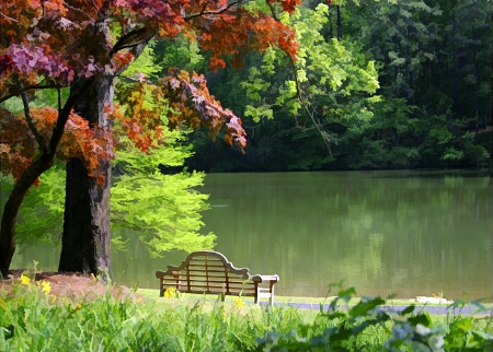 Sunlit Bench