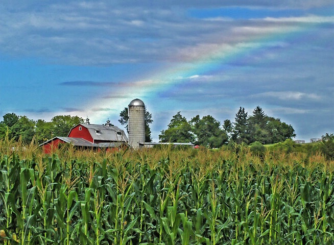 After the Storm