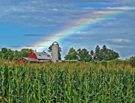 After the Storm