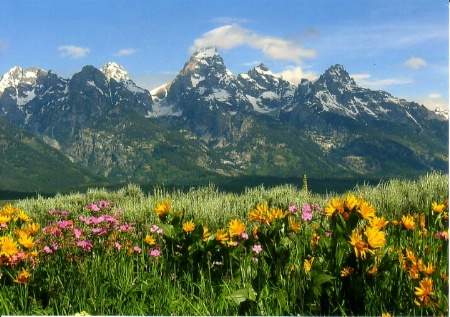 The Grand Tetons 