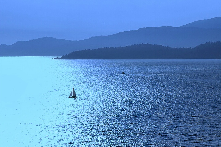 into the blue