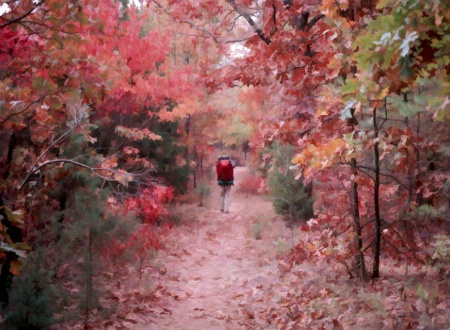 Autumn Hike