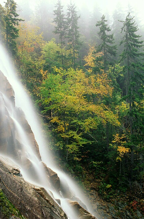 Arethusa Falls-Fall Splendor