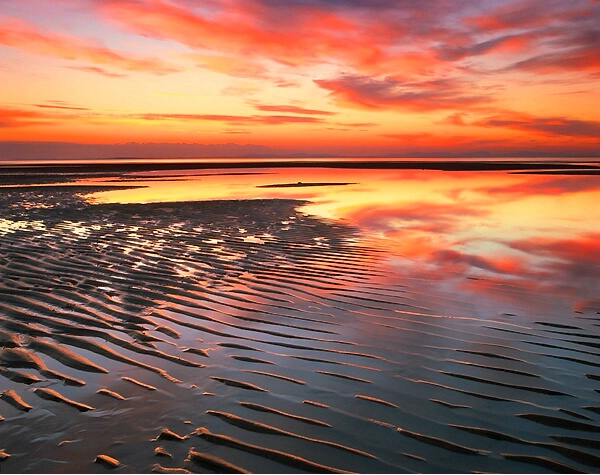 Beach ripples