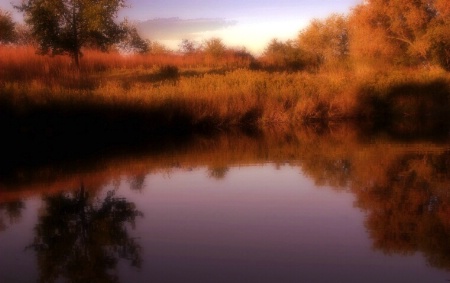 Fall reflection