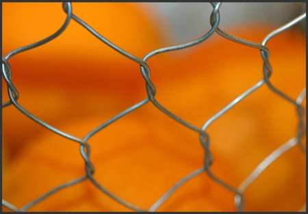 Chicken wire