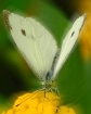 " The Taste T...