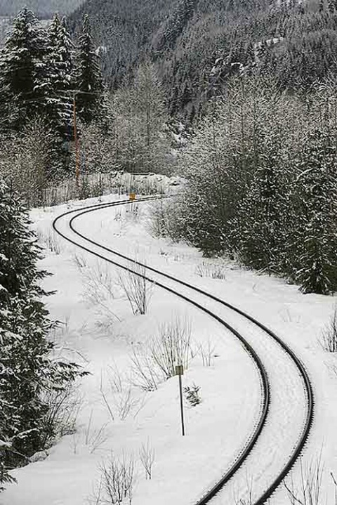 Tracks to Whistler