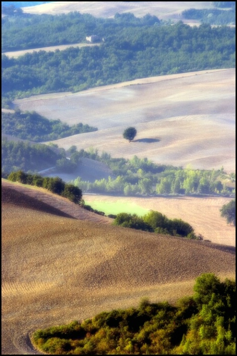 Soflty Tuscany
