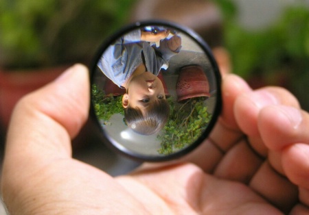 In The Magnifier glass 
