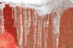 Frozen Water