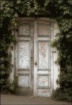 Carmel Door