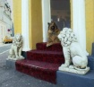 Doorkeepers