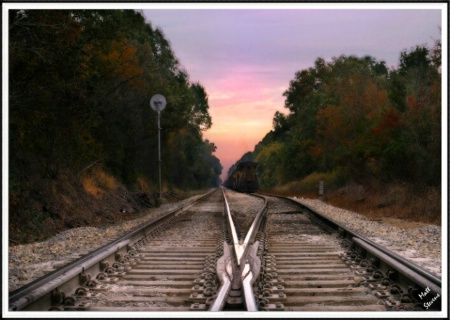 Early Morning Train