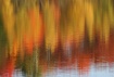 Fall impressions