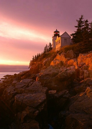 Sunset At Bass Harbor