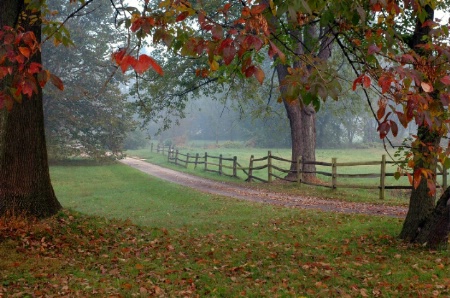 Country Lane