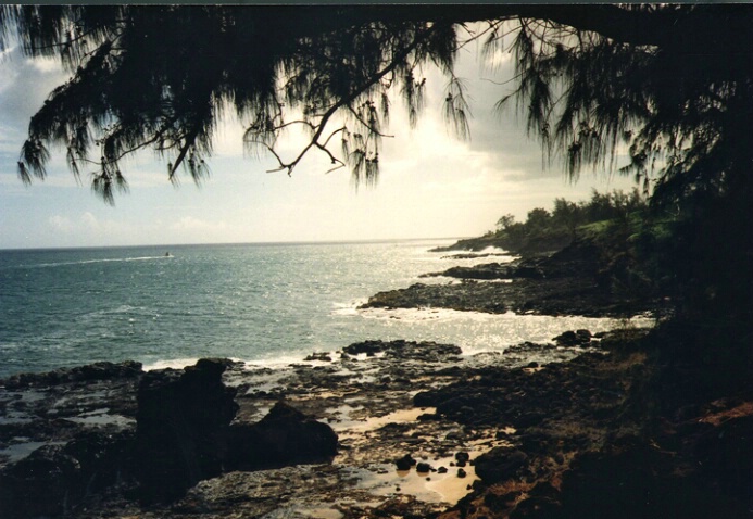 Hawaiian Beach - ID: 567544 © James E. Nelson