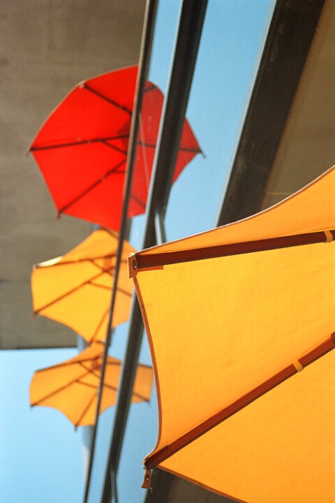 Umbrella Reflection