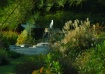 Peaceful Place to...