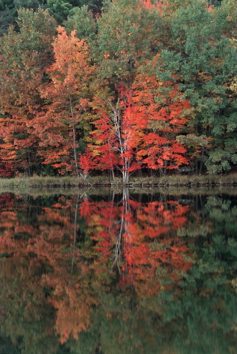 Vivid Fall Colors Reflecting On Water