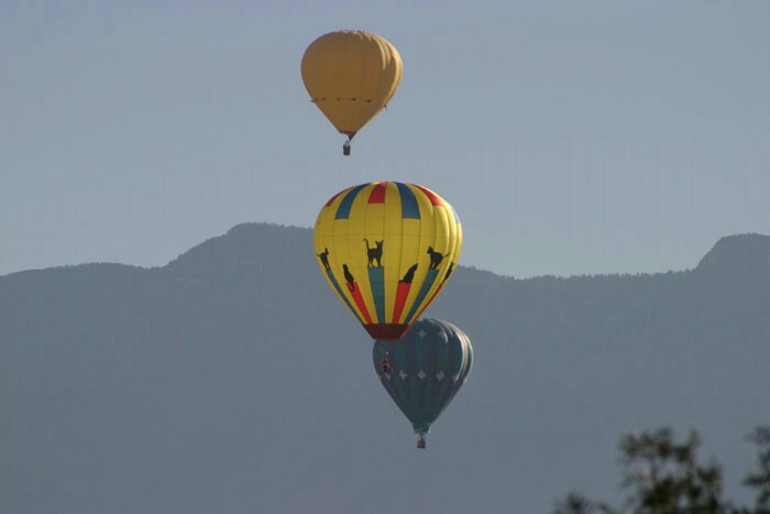 Balloon Fiesta 2004 - 4