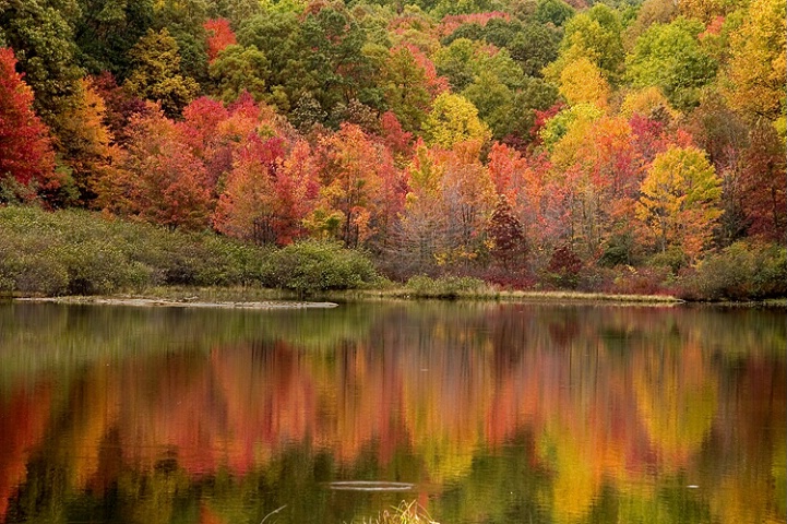 Coopers Rock Lake