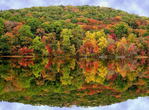 Autumn Reflections