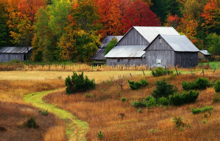 Michigan Farm In Autumn