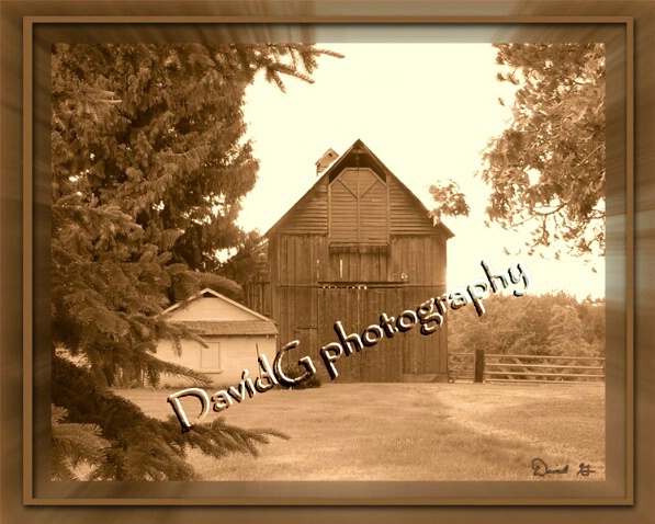 Howard's Barn Sepia  - ID: 575689 © David P. Gaudin