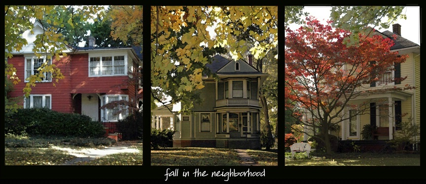 fall in the neighborhood