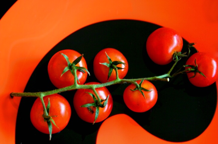 Ripe Tomato Vine on the Line 