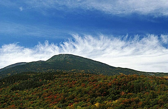Mt. Washington - ID: 576892 © Brian d. Reed
