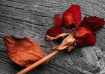 Beauty In Change