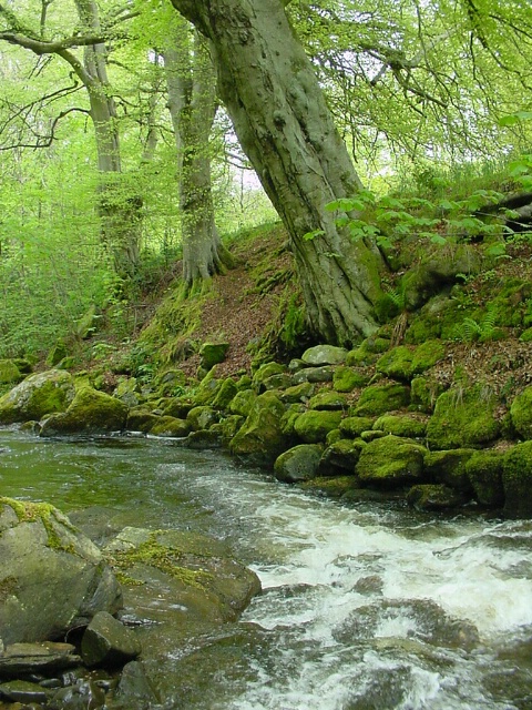 The Birks O' Aberfeldy, Scotland