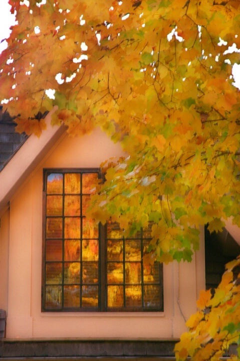 Fall lights the Old Manse Window