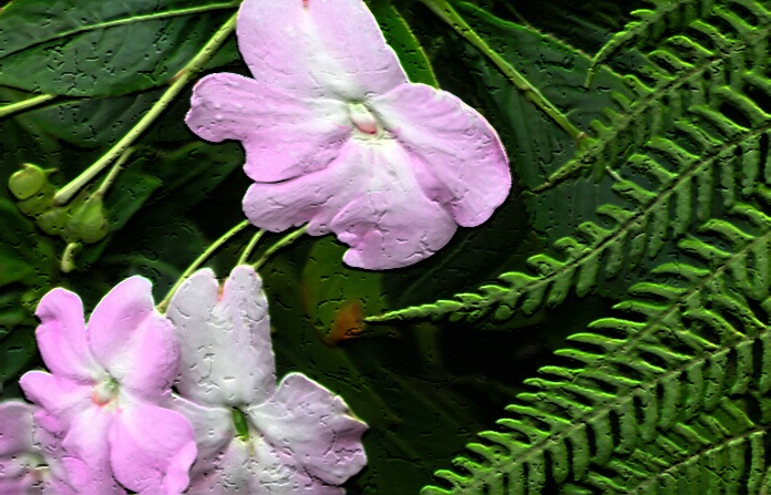 Ferns and Flowers