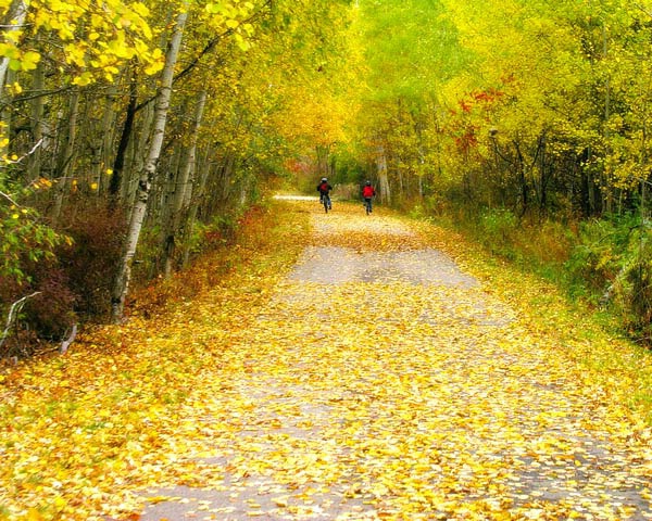 An Autumn Ride Through Montcalm County